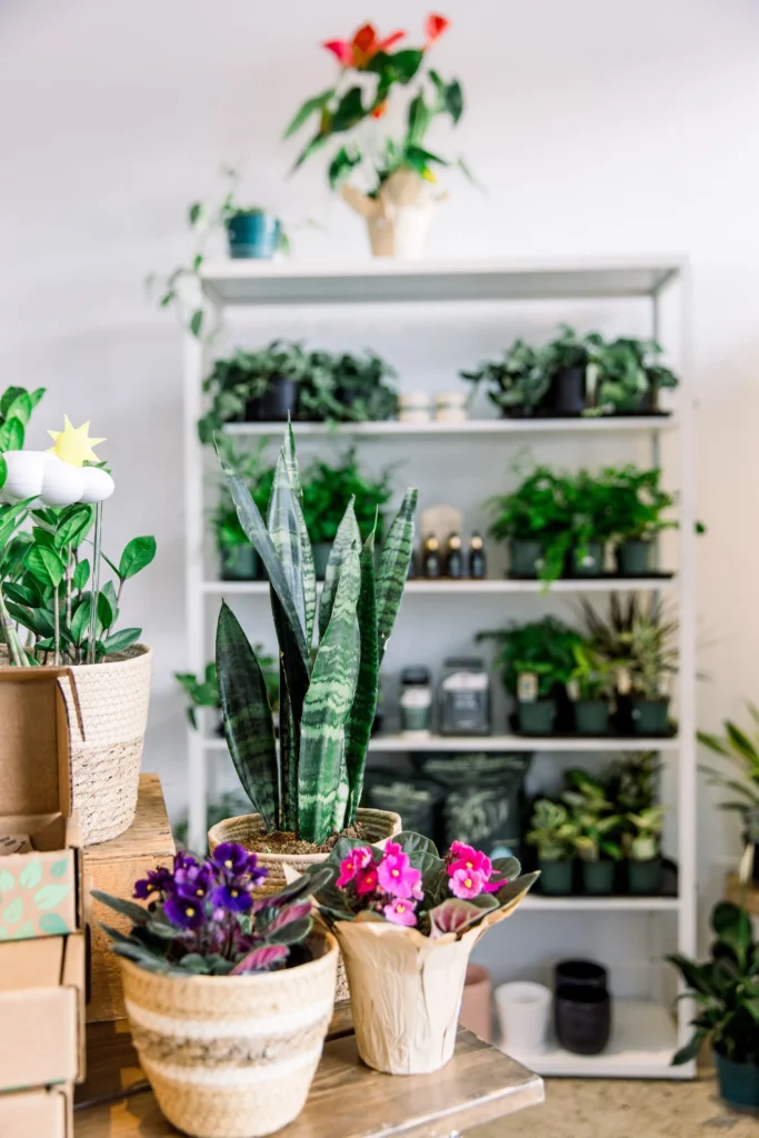 Home pxl 20230424 215121564.portrait 1024x1024 2x df27543e 15d5 4cea 9074 98d86bdfab08